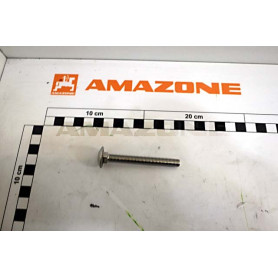 Vis 8X 70 A2-70 DA079 Amazone