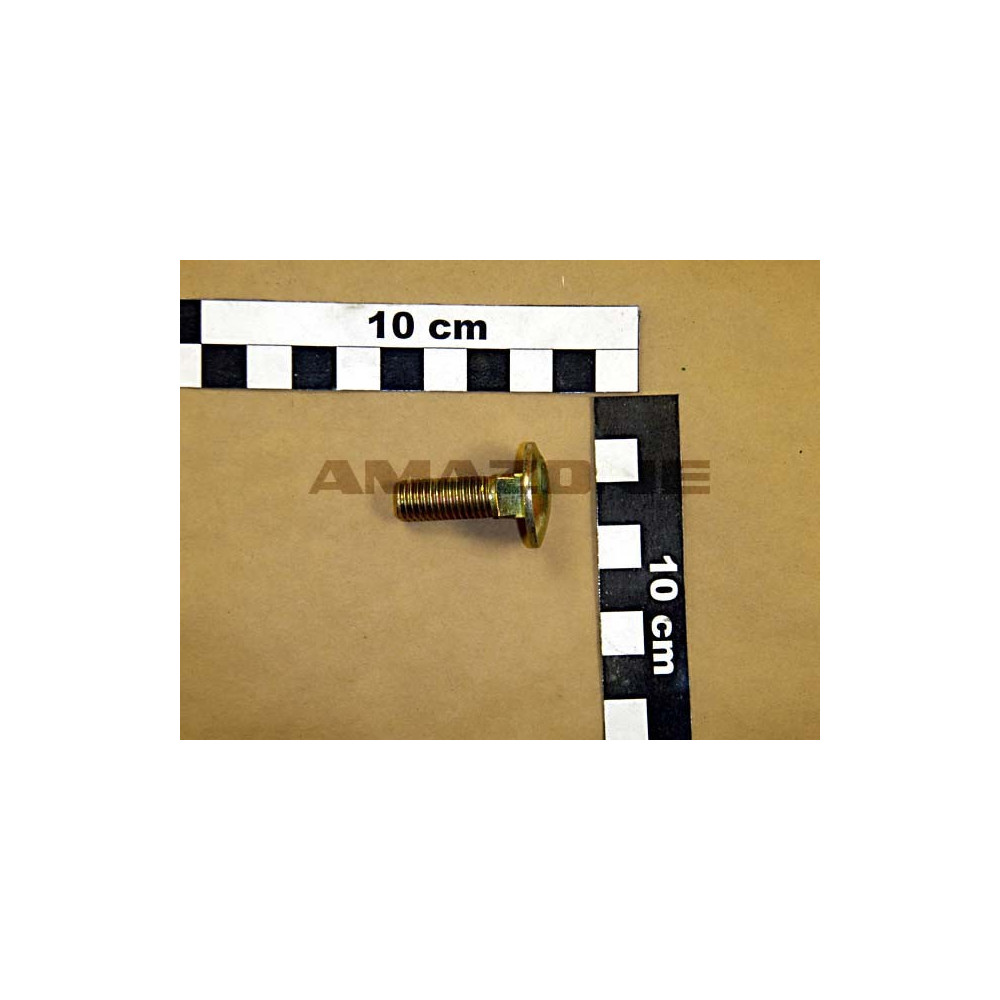 Vis 10X 30 8677 8.8 A2G DA088 Amazone