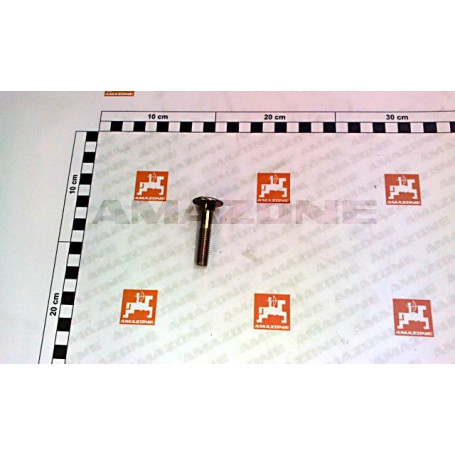 Vis 10X 50 603SHR 8.8 A2G Réf. DA092 - AMAZONE Vis 10X 50 603SHR 8.8 A2G Réf. DA092 - AMAZONE