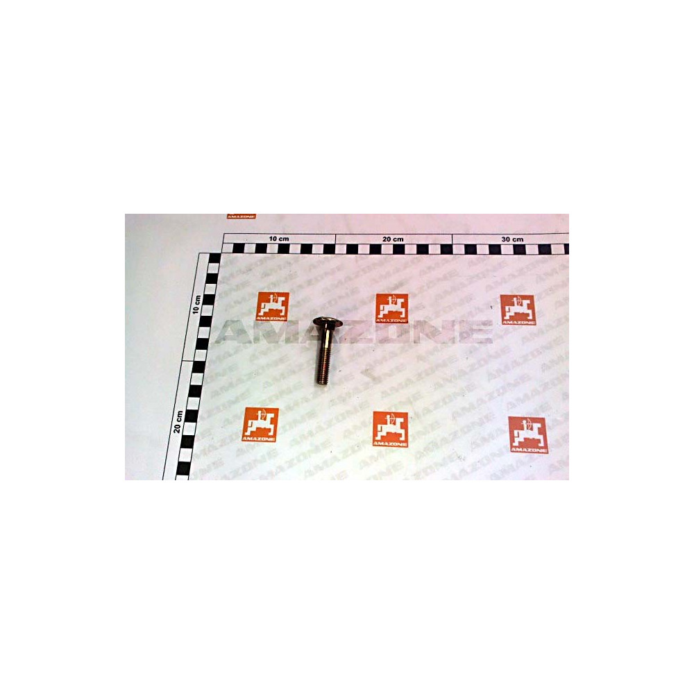 Vis 10X 50 603SHR 8.8 A2G DA092 Amazone