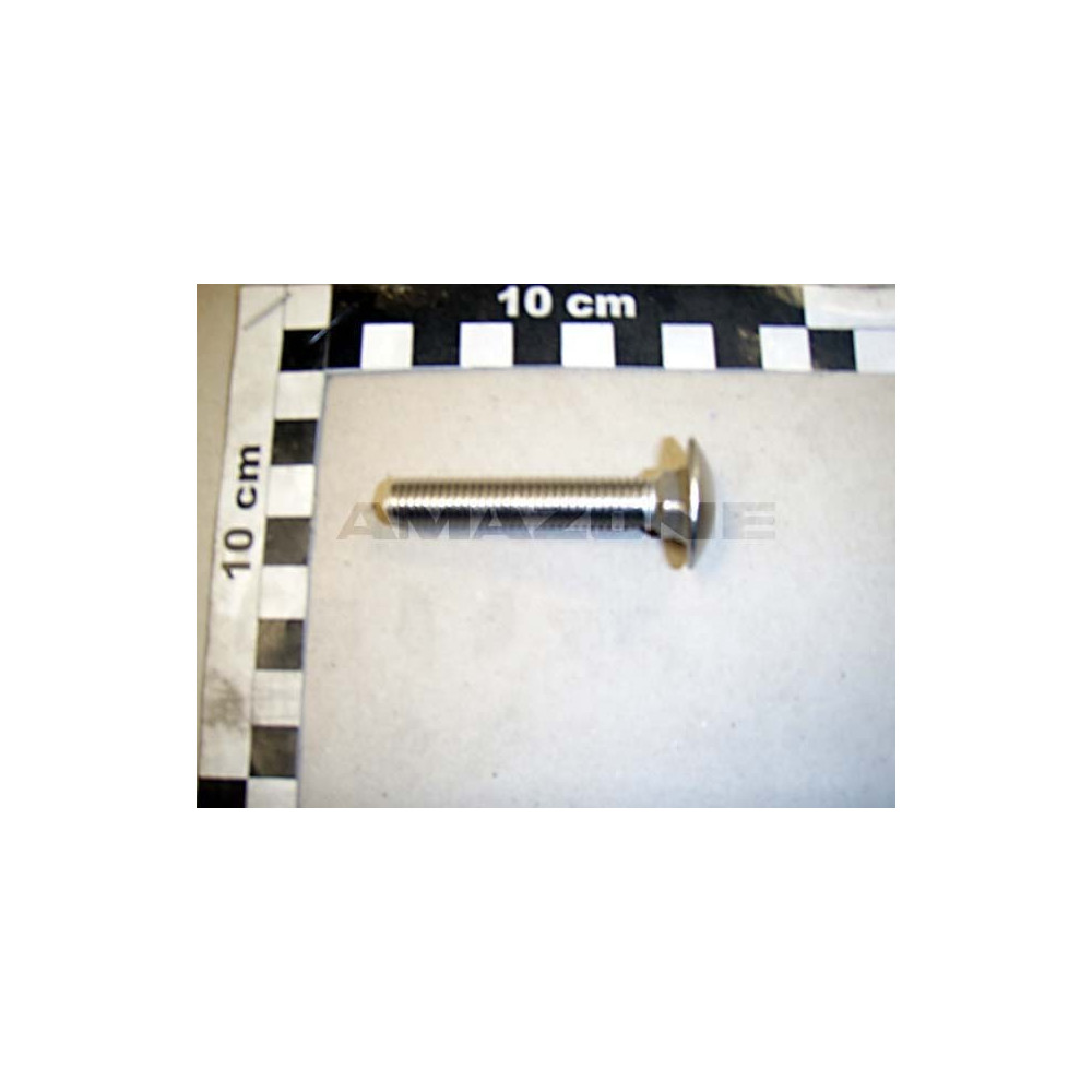 Vis 10X 55 8677 A2-70 DA094 Amazone