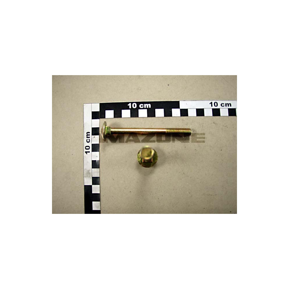 Vis 10X100 8677 4.6 A2G DA096 Amazone