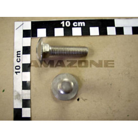 Vis 12X 50 8677 8.8 DA100 Amazone