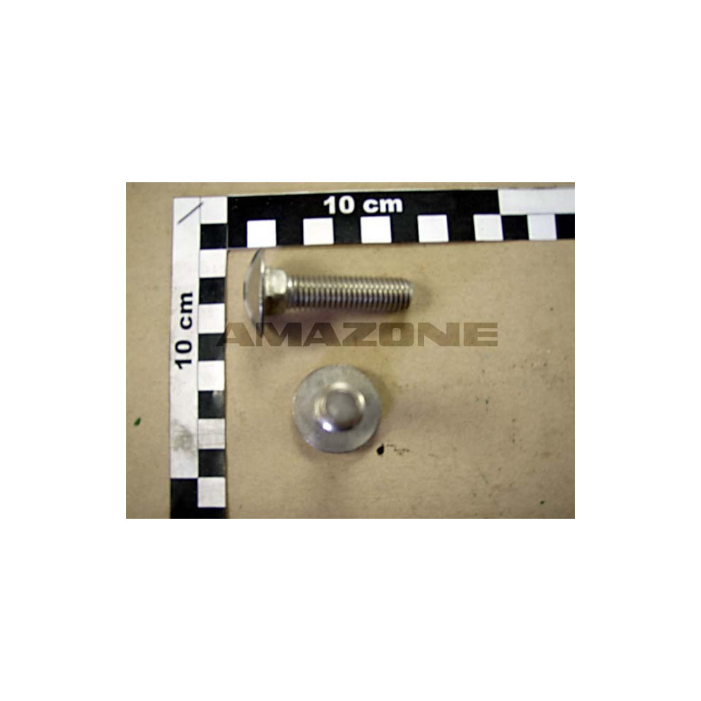 Vis 12X 50 8677 8.8 DA100 Amazone