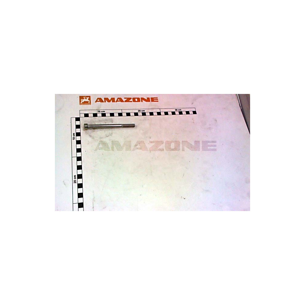 Vis 8X110X110 DA1008 Amazone