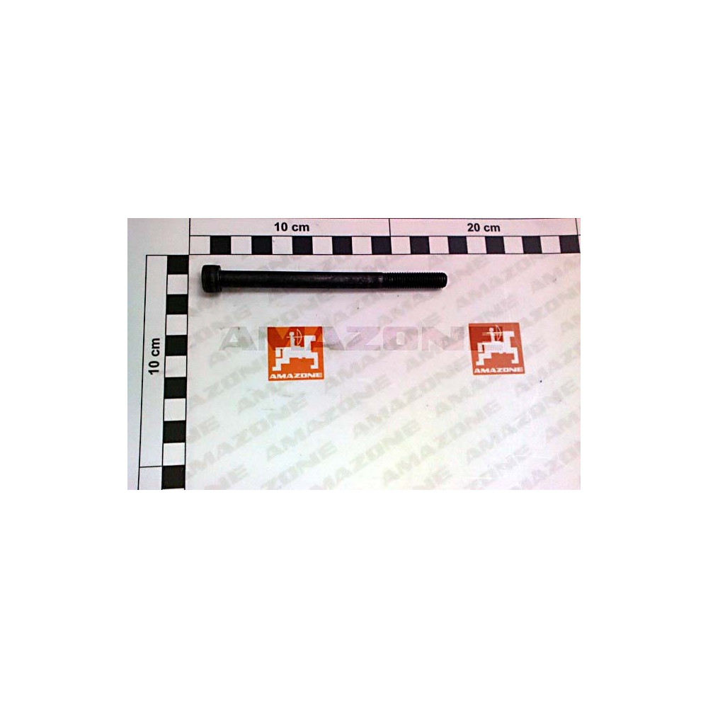 Vis 8 X 110 DA1017 Amazone