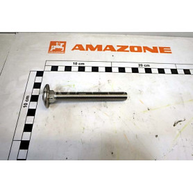 Vis 12 X 100 A2-70 DA1022 Amazone