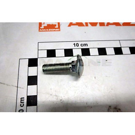 Vis 10 X 35 DA1028 Amazone