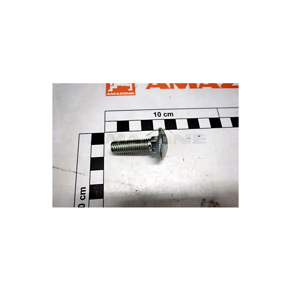 Vis 10 X 35 DA1028 Amazone