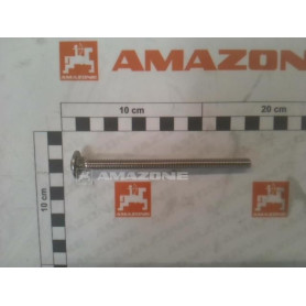 Vis 8 X 120 DA1036 Amazone