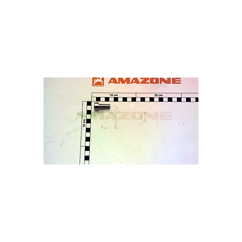 Vis 10 X 25 A2-70 DA1038 Amazone