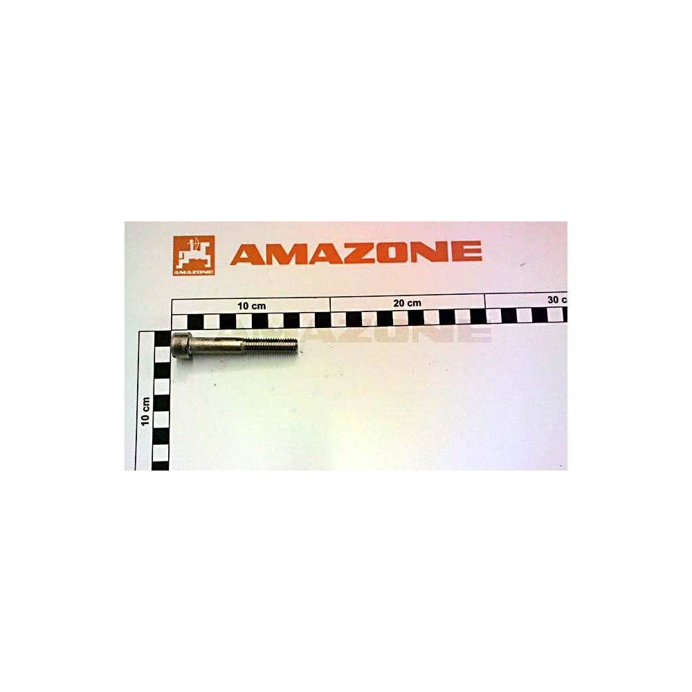 Vis 10 X 65 A2-70 DA1039 Amazone