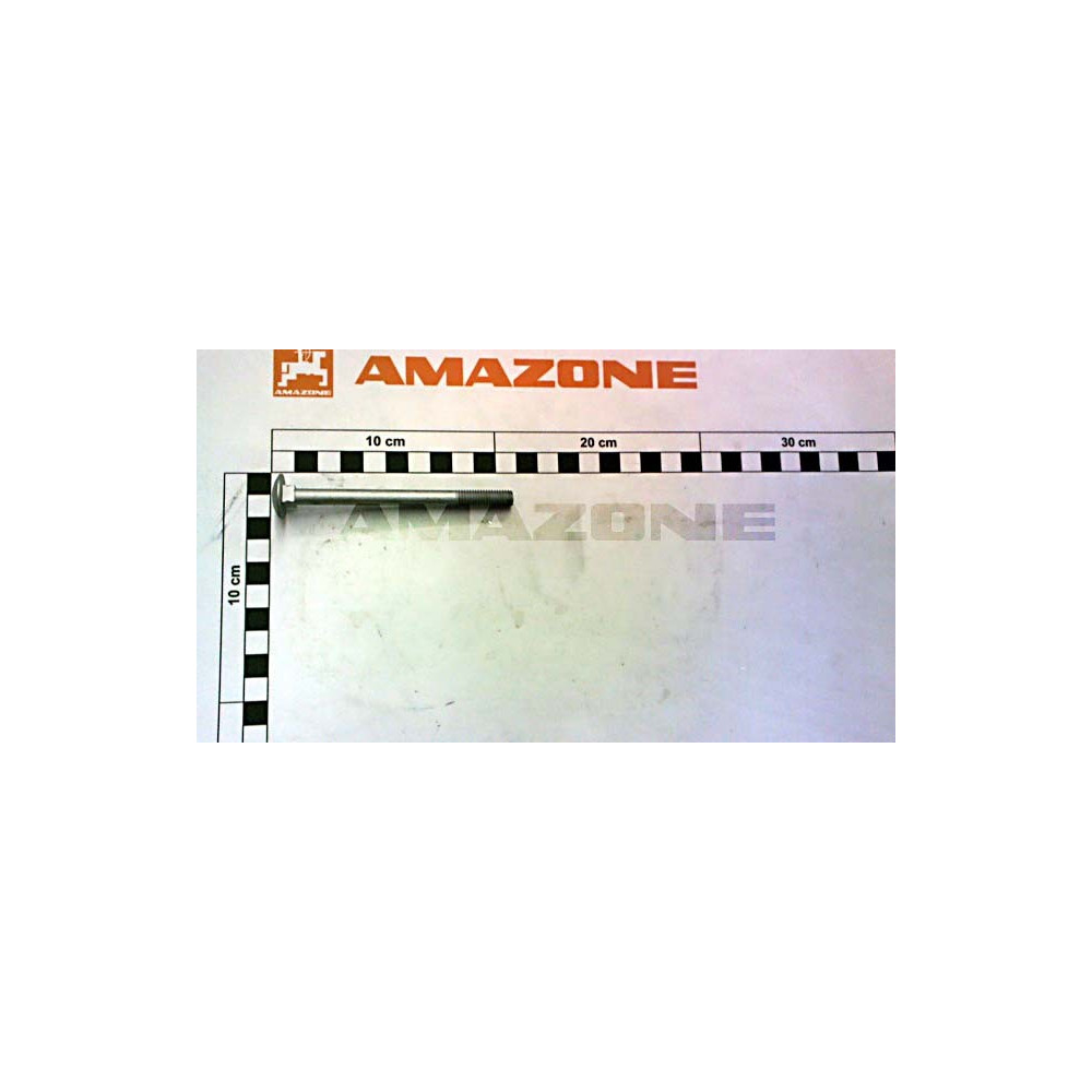 Vis 8X100 8.8 A2-70 DA1048 Amazone