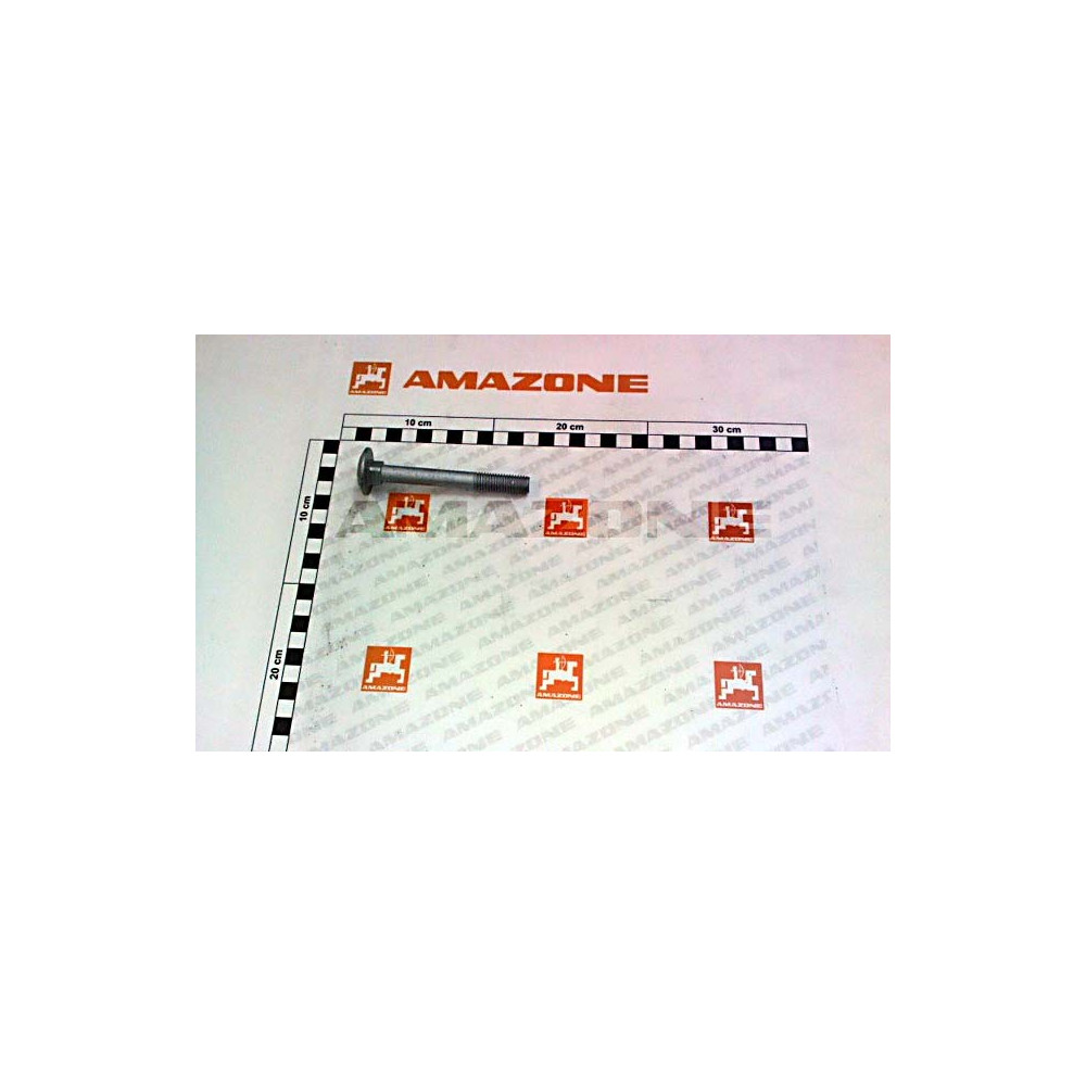 Vis 12 X 100 10.9 DA1062 Amazone