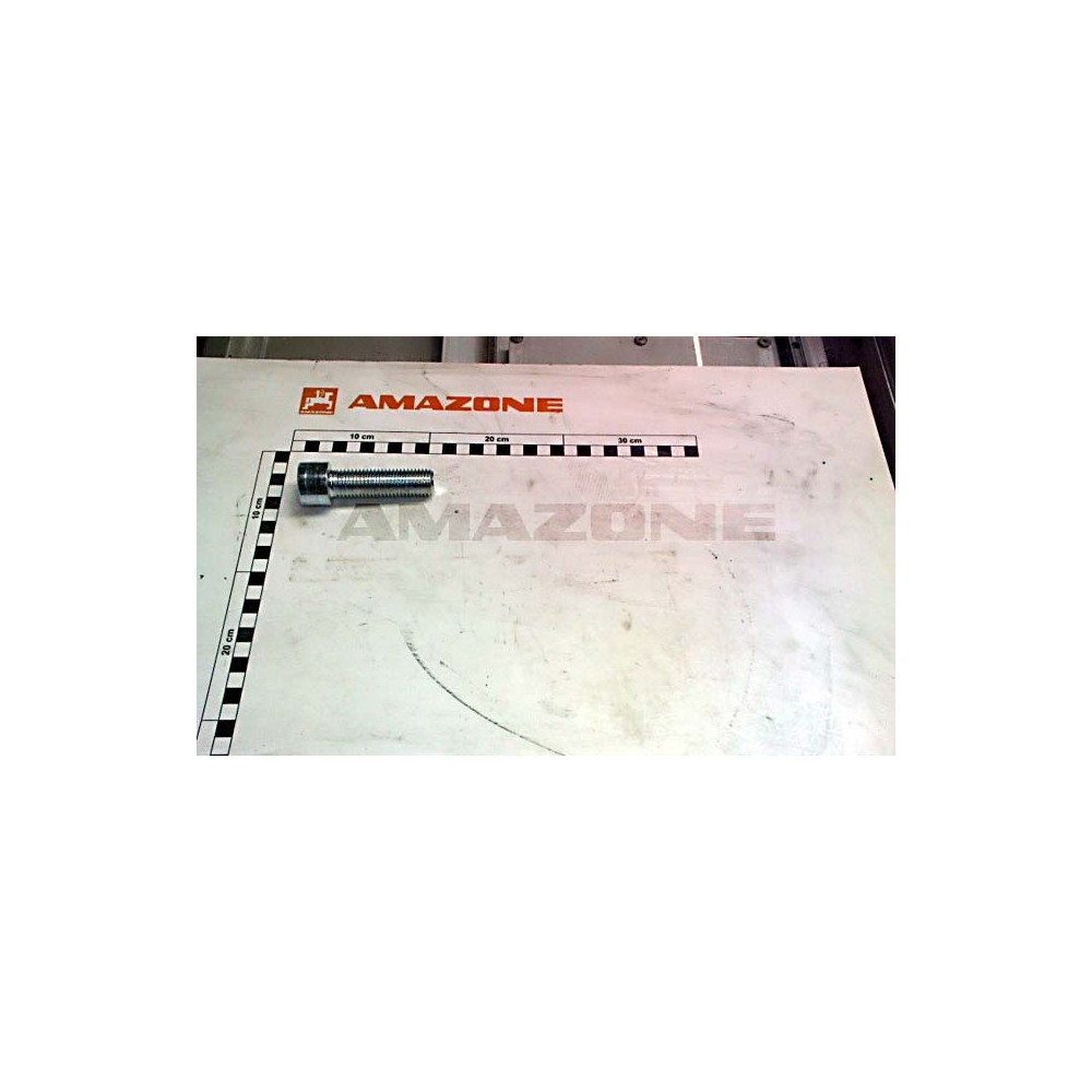 Vis cylindrique 20 X 70 DA1071 Amazone