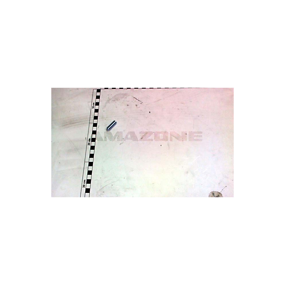 Vis SS tete 10X30 DA1073 Amazone