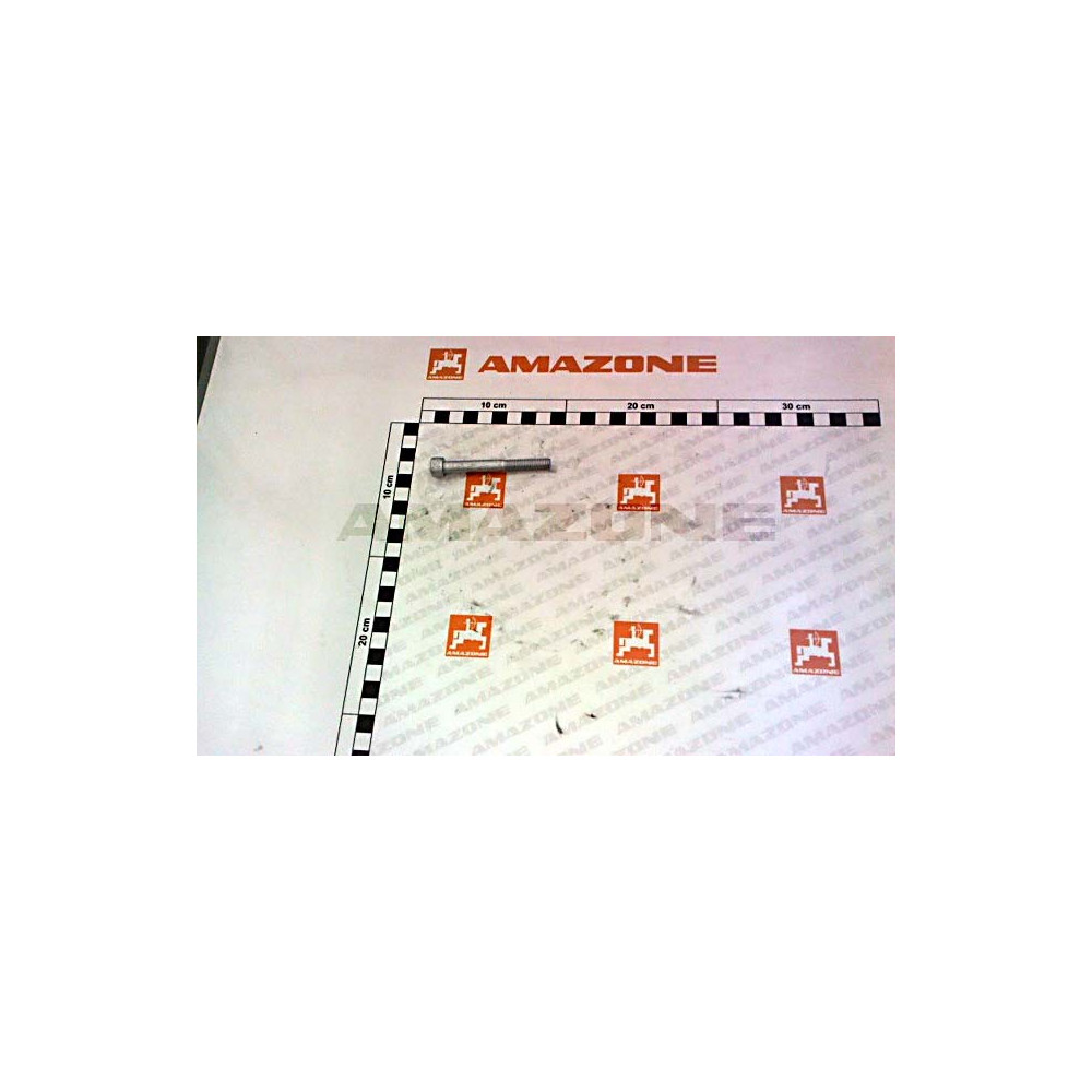 Vis 8 X 70 DA1076 Amazone