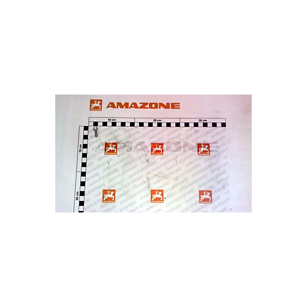 Vis 06X 20 4762 A2-70 DA1087 Amazone