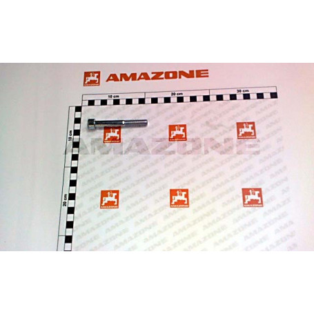 Vis 10X 80 8.8 Réf. DA1094 - AMAZONE