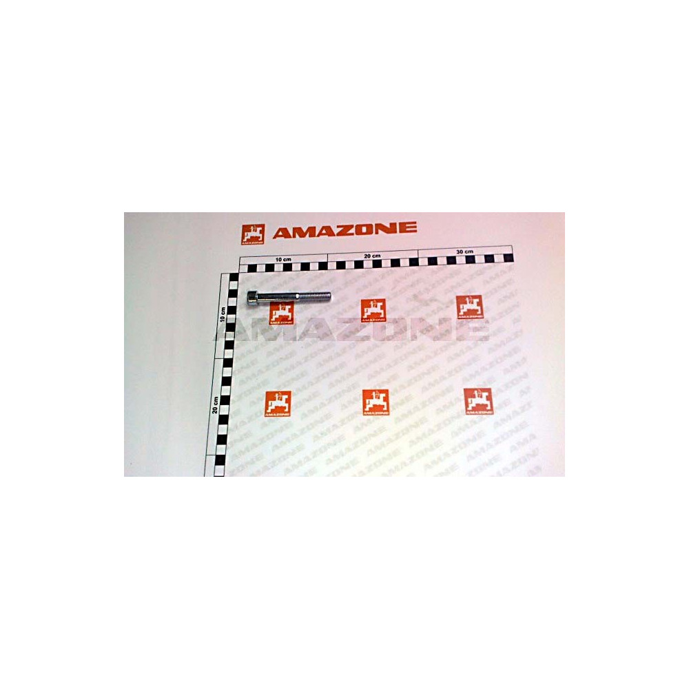 Vis 10X 80 8.8 DA1094 Amazone