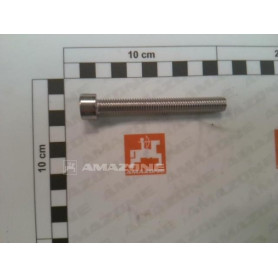 Vis 10 X 80 A2-70 DA1121 Amazone