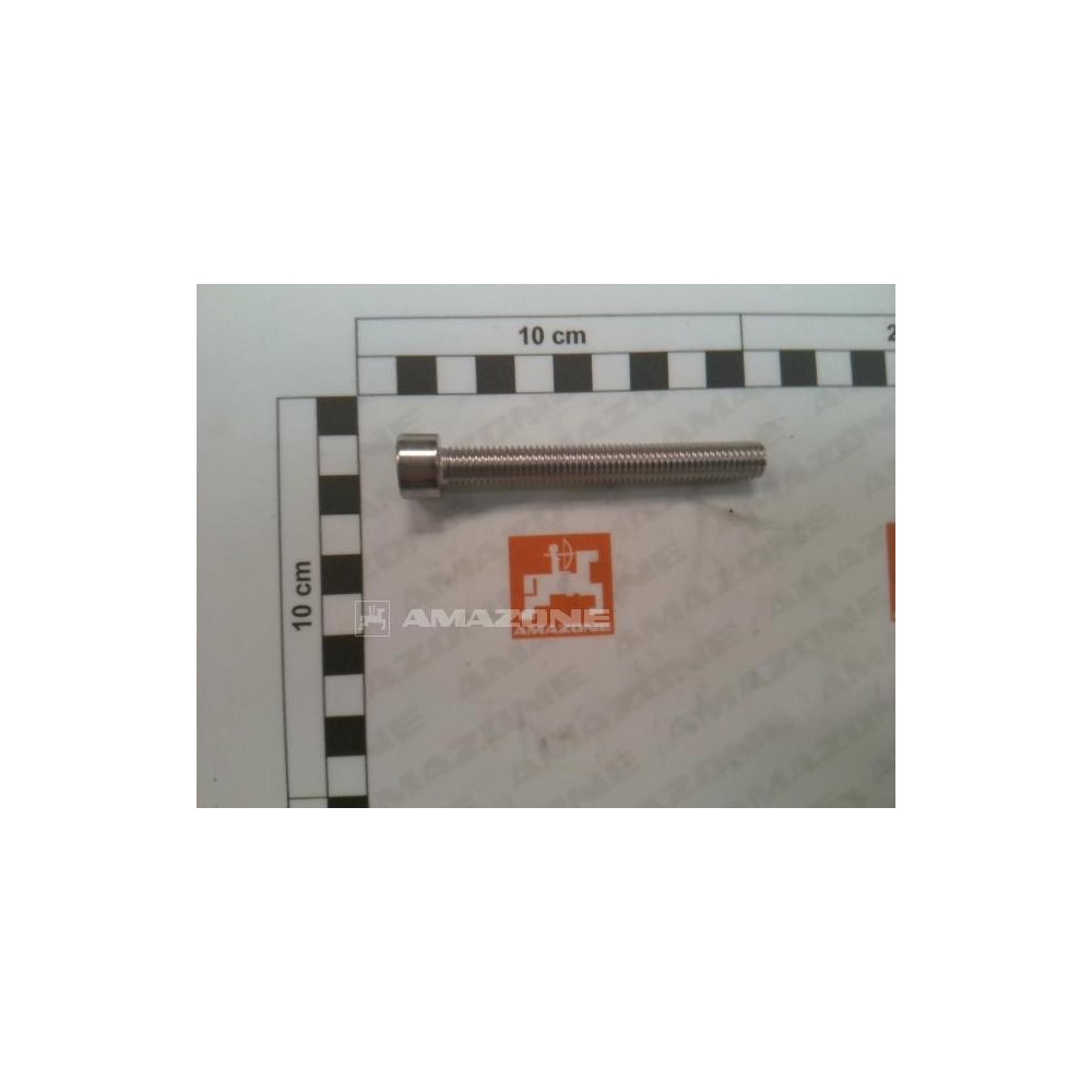 Vis 10 X 80 A2-70 DA1121 Amazone