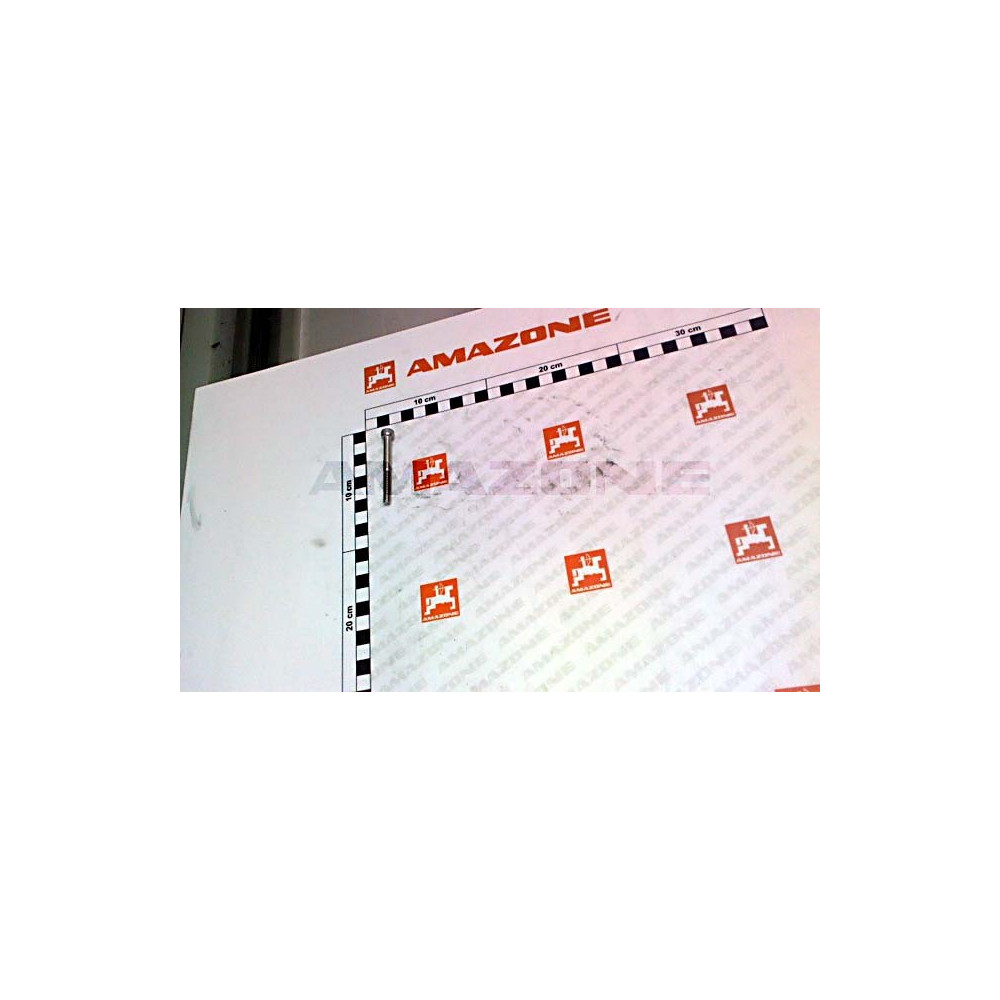 Vis 6 X 55 DA1112 Amazone