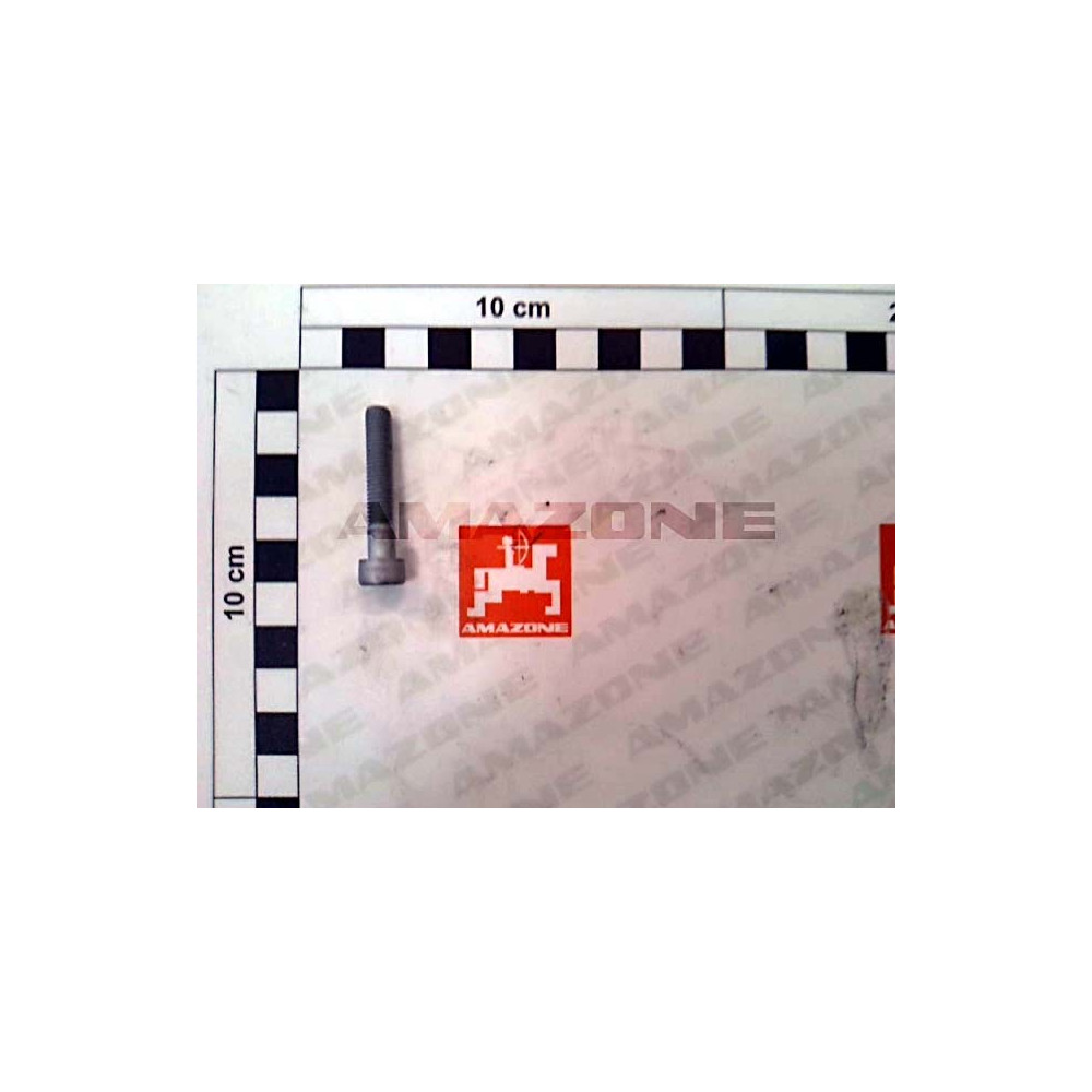 Vis 6X35 10.9 DA1131 Amazone