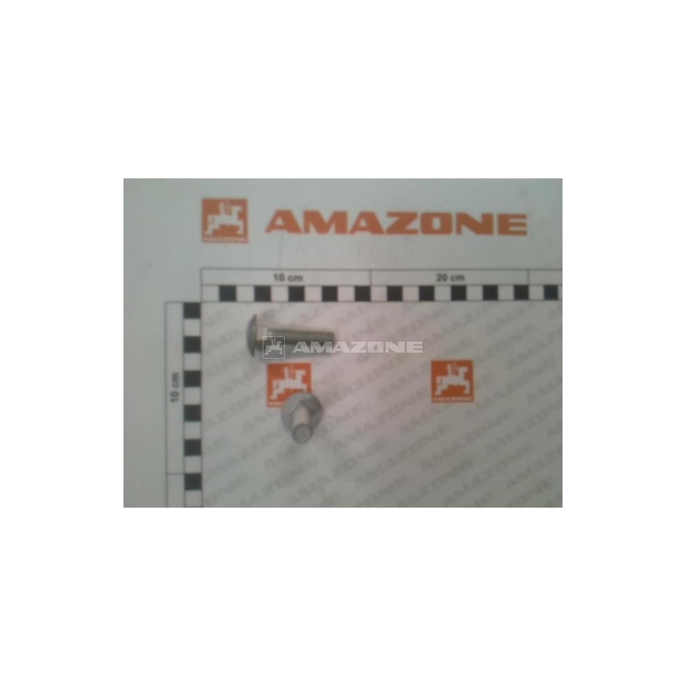 Vis tete ronde 10 X 45 DA1151 Amazone