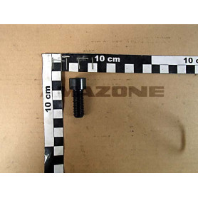 Vis pans creux M12X30 8.8 DA123 Amazone