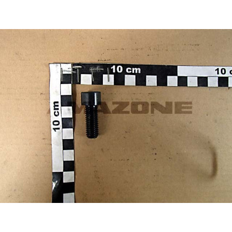 Vis pans creux M12X30 8.8 Réf. DA123 - AMAZONE Vis pans creux M12X30 8.8 Réf. DA123 - AMAZONE