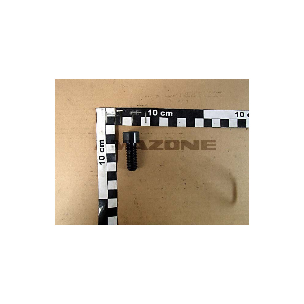 Vis pans creux M12X30 8.8 DA123 Amazone