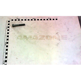 Vis 10X 65 912 10.9 BTR DA121 Amazone