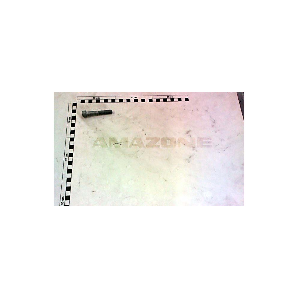 Vis 10X 65 912 10.9 BTR DA121 Amazone