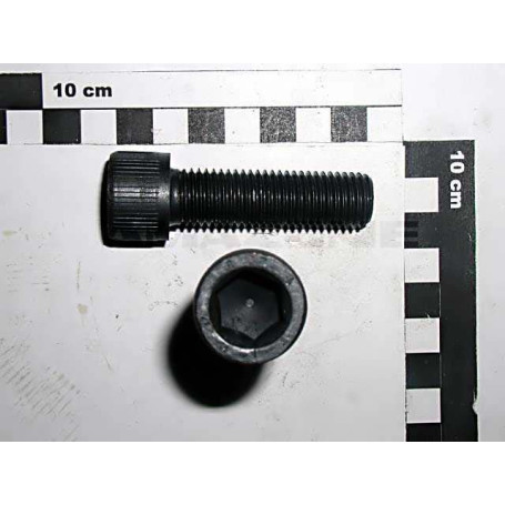 Vis cylindrique 16 X 55 Réf. DA127 - AMAZONE Vis cylindrique 16 X 55 Réf. DA127 - AMAZONE