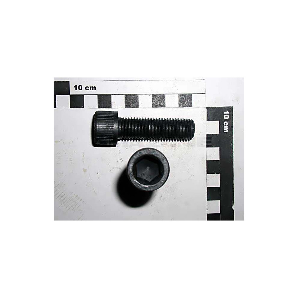 Vis cylindrique 16 X 55 DA127 Amazone
