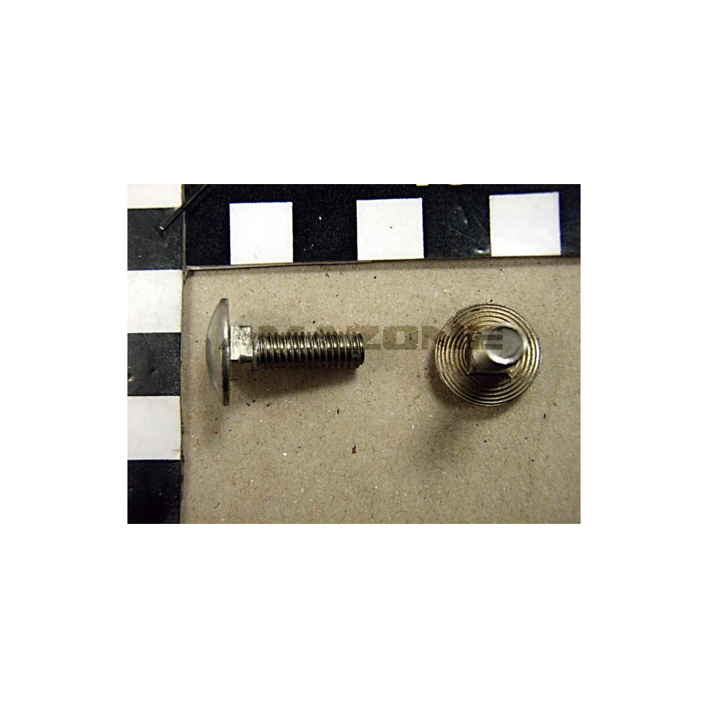 Vis 06X 20 8677 A2-70 DA167 Amazone