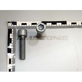 Vis 12X 45 4762 10.9 BTR DA180 Amazone