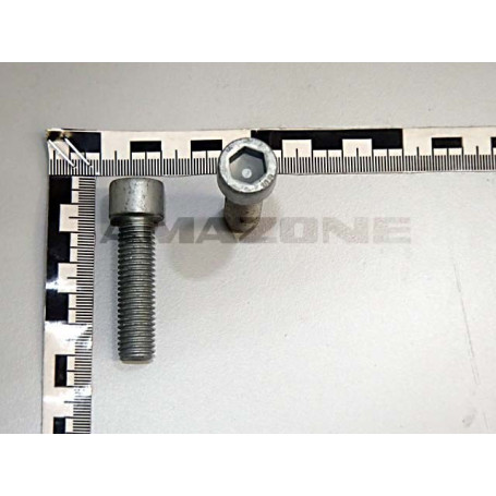 VIS 12X 45 4762 10.9 BTR Réf. DA180 AMAZONE VIS 12X 45 4762 10.9 BTR Réf. DA180 AMAZONE