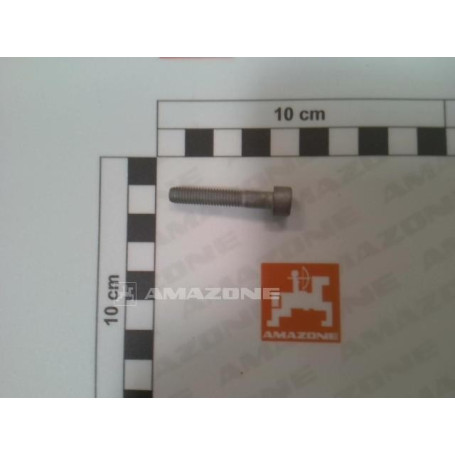 VIS 06X 45 4762 8.8 A2G Réf. DA262 AMAZONE VIS 06X 45 4762 8.8 A2G Réf. DA262 AMAZONE