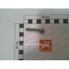 VIS 06X 45 4762 8.8 A2G Réf. DA262 AMAZONE VIS 06X 45 4762 8.8 A2G Réf. DA262 AMAZONE