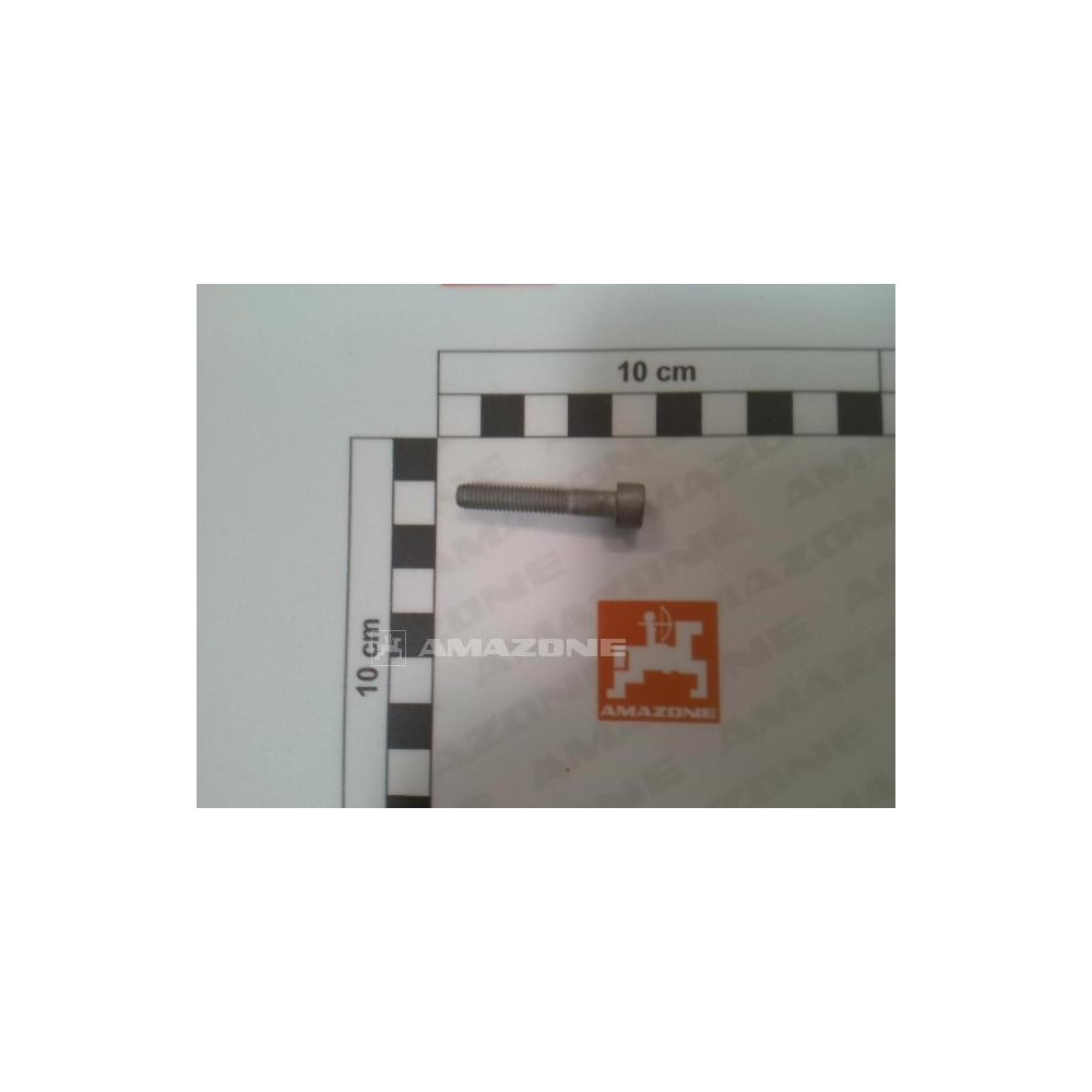Vis 06X 45 4762 8.8 A2G DA262 Amazone