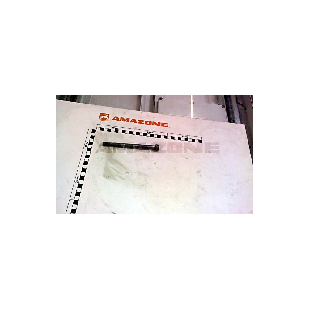 Vis 10X140 4762 8.8 A2G DA267 Amazone