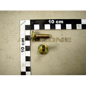 Vis A tete bombee DA268 Amazone