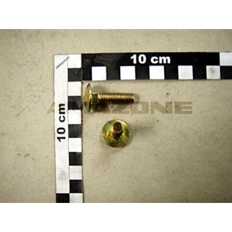 VIS A TETE BOMBEE Réf. DA268 AMAZONE VIS A TETE BOMBEE Réf. DA268 AMAZONE