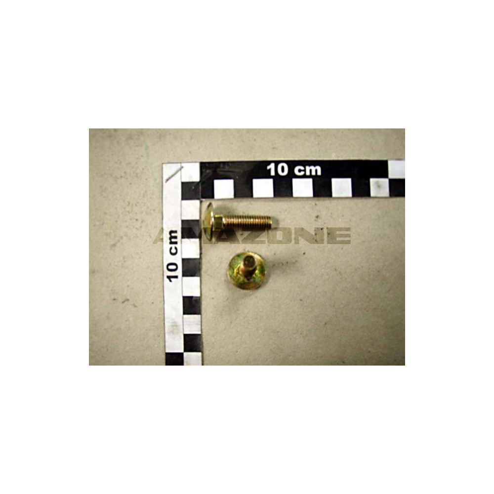 Vis A tete bombee DA268 Amazone