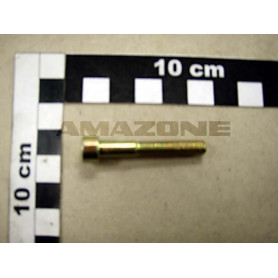 Vis 06X 40 4762 8.8 A2G DA309 Amazone