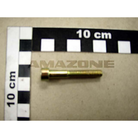 VIS 06X 40 4762 8.8 A2G Réf. DA309 AMAZONE VIS 06X 40 4762 8.8 A2G Réf. DA309 AMAZONE