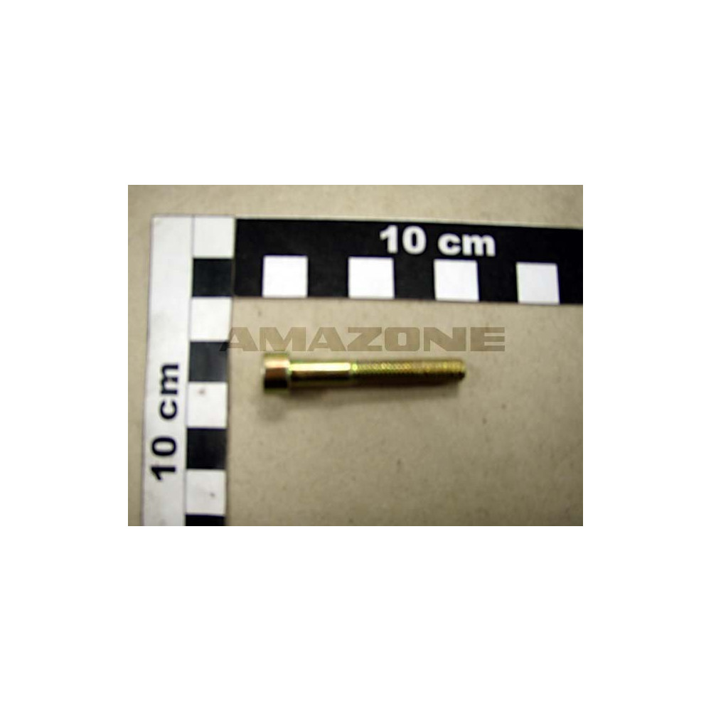 Vis 06X 40 4762 8.8 A2G DA309 Amazone