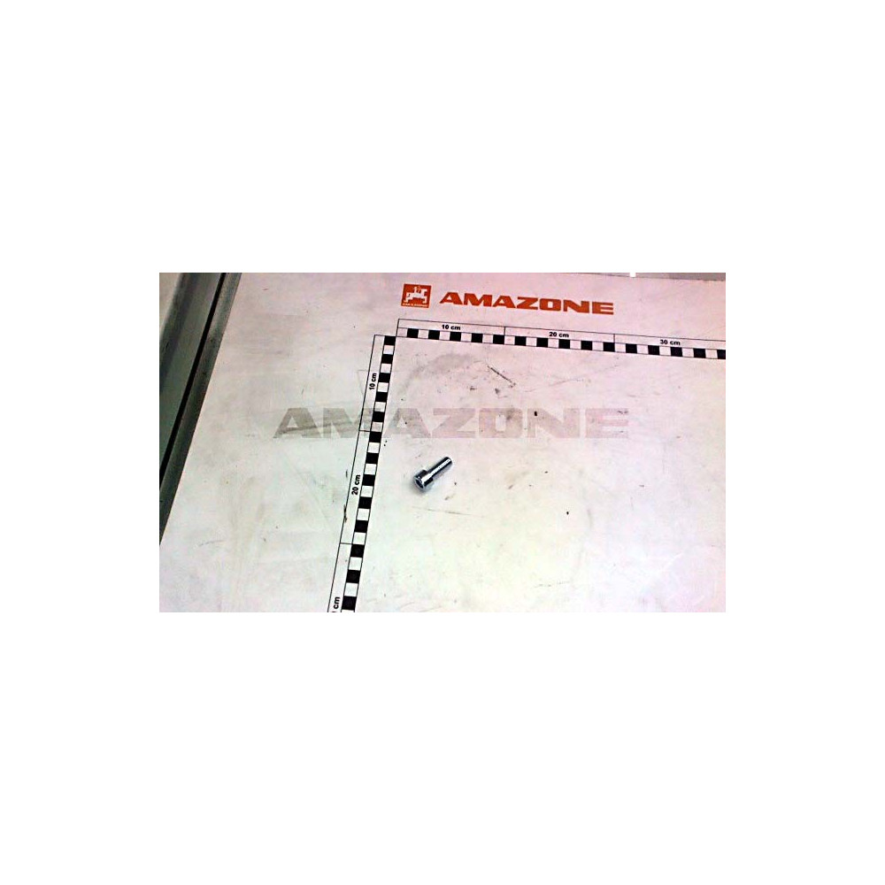 Vis 10X 25 4762 8.8 A2G DA336 Amazone